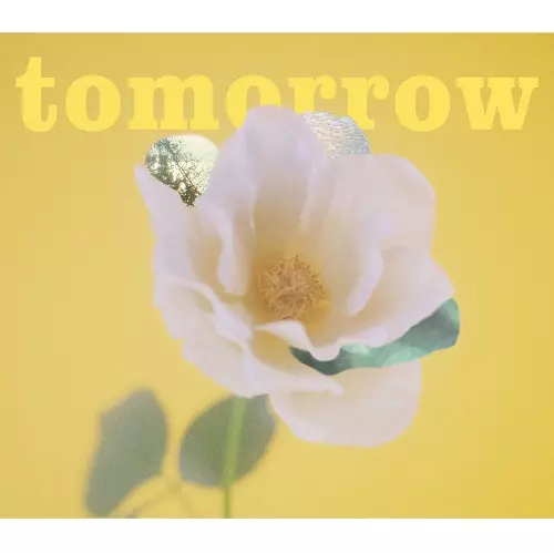 IBECALLER / アイビーカラー商品一覧｜ディスクユニオン・オンライン