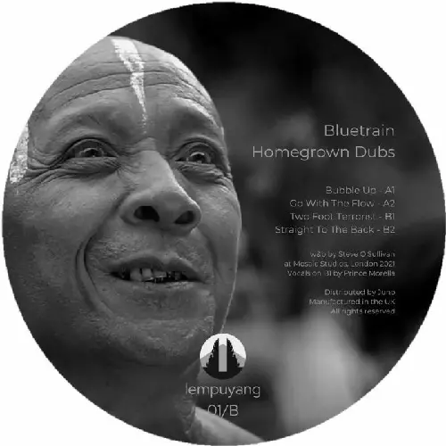 BLUETRAIN (TECHNO) / HOMEGROWN DUBS