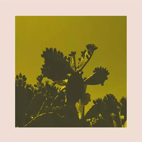 BRIGHT & FINDLAY / SLOW DANCE