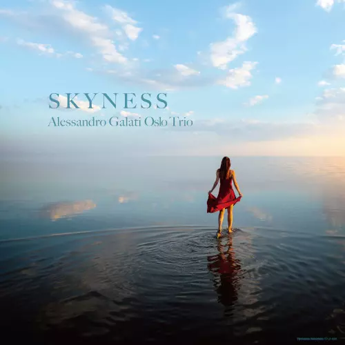 SKYNESS(LP)/ALESSANDRO GALATI/アレッサンドロ・ガラティ