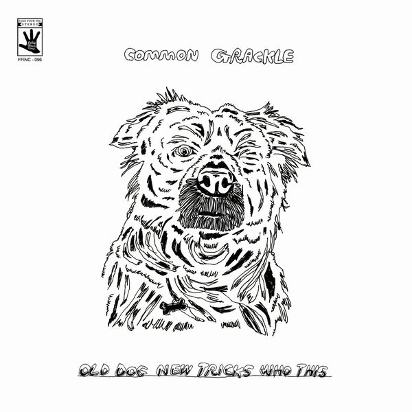 COMMON GRACKLE / OLD DOG NEW TRICKS WHO THIS (VINYL)