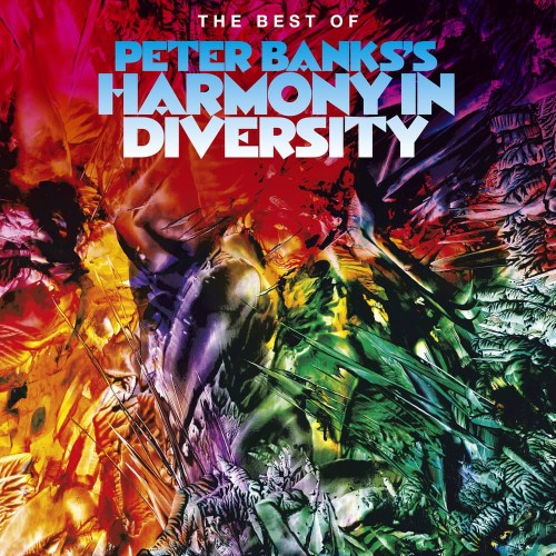 PETER BANKS / ピーター・バンクス / BEST OF PETER BANKS'S HARMONY IN DIVERSITY