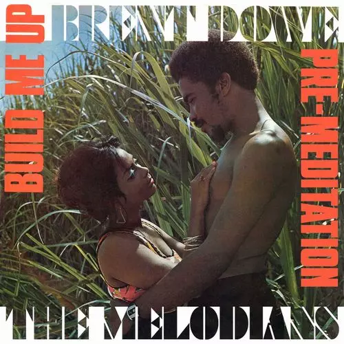BRENT DOWE AND THE MELODIANS / ブレン・ダウ&ザ・メロディアンズ / BUILD ME UP & PRE-MEDITATION