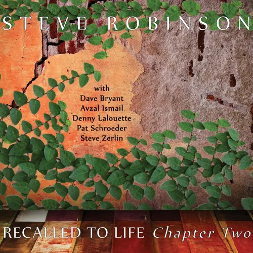 STEVE ROBINSON / Recalled To Life - Chapter Two
