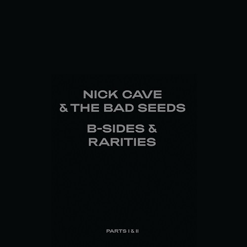 NICK CAVE & THE BAD SEEDS / ニック・ケイヴ&ザ・バッド・シーズ / B-SIDES & RARITIES PART I (1988-2005)&PART II (2006-2020)[7LP VINYL]