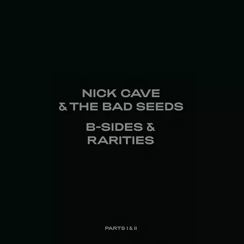 NICK CAVE & THE BAD SEEDS / ニック・ケイヴ&ザ・バッド・シーズ / B-SIDES & RARITIES PART I (1988-2005)&PART II (2006-2020)[7LP VINYL]