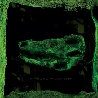 AVEY TARE / エイヴィ・テア / DOWN THERE (LP)