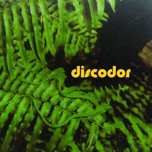 DISCODOR / ディスコドール / DISCODOR