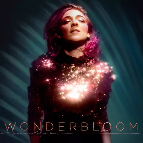 BECCA STEVENS / ベッカ・スティーヴンス / Wonderbloom(2LP)