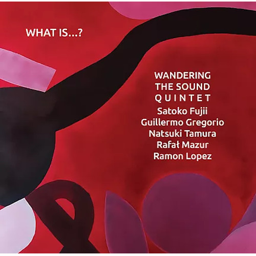 WANDERING THE SOUND QUINTET / What Is...?