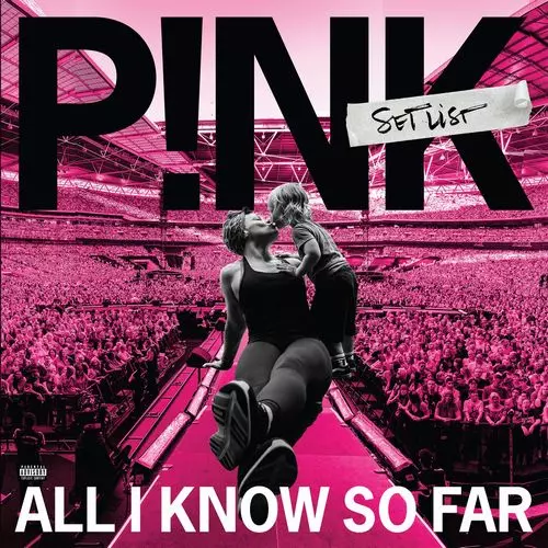 非売品　P!NK　PINK　Remix!　リミックス　レコード　LP　プロモ盤 P!NK商品一覧｜HIPHOP / 日本語RAP｜ディスクユニオン