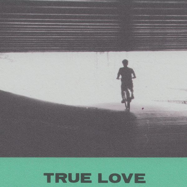 HOVVDY / ハウディ / TRUE LOVE (BLACK VINYL)