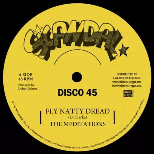 MEDITATIONS / メディテイションズ / FLY NATTY DREAD