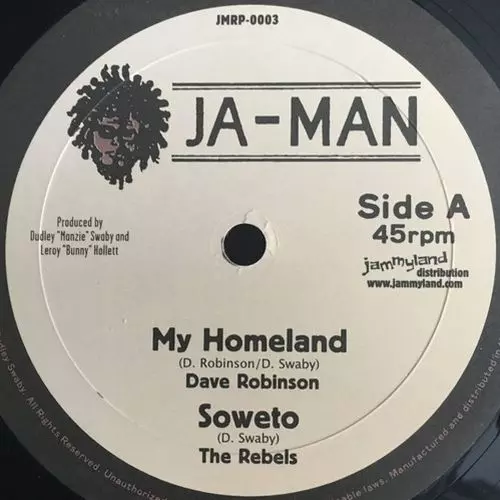 激レア！Dave Robinson / My land MY HOMELAND/DAVE ROBINSON/英国BLOOD & FIREの名コンピにも収録されて