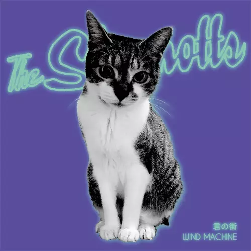 The SKAMOTTS / 君の街 / WIND MACHINE (7")