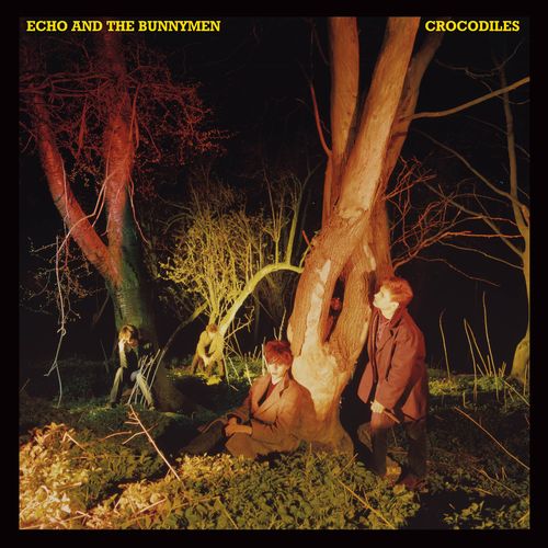 ECHO & THE BUNNYMEN / エコー&ザ・バニーメン / CROCODILES [180GRAM BLACK VINYL]