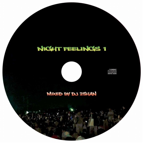 DJ 2SHAN / NIGHT FEELINGS 1