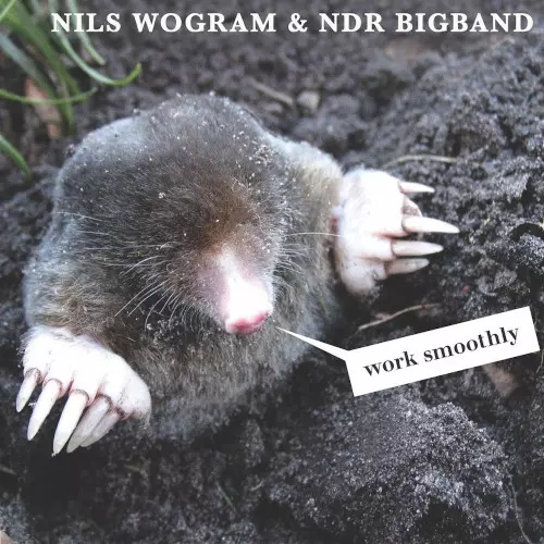 NILS WOGRAM / ニルス・ウォグラム / Work Smoothly