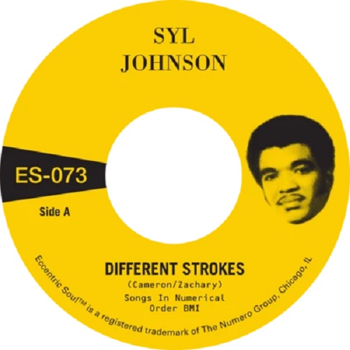 SYL JOHNSON / シル・ジョンソン / DIFFERENT STROKES / IS IT BECAUSE I'M BLACK (7")
