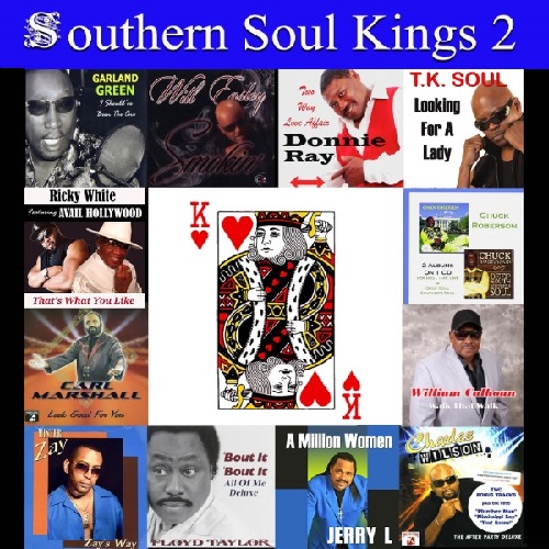 V.A. (SOUTHERN SOUL KINGS) / SOUTHERN SOUL KINGS 2 (CD-R)