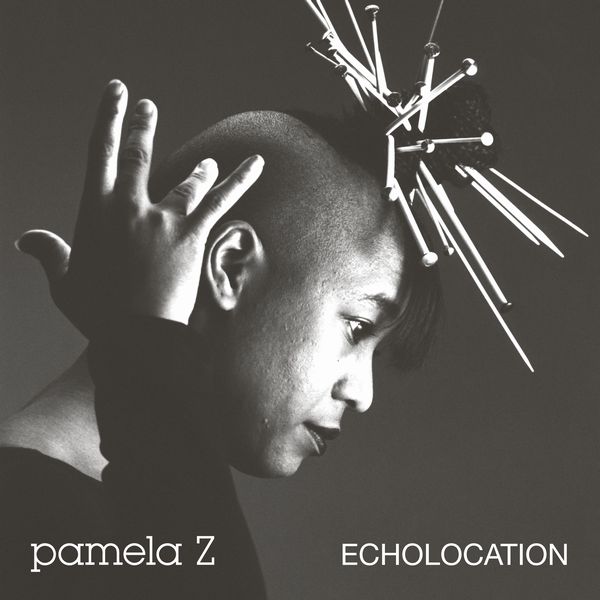 PAMELA Z / パメラ・Z / ECHOLOCATION (VINYL)