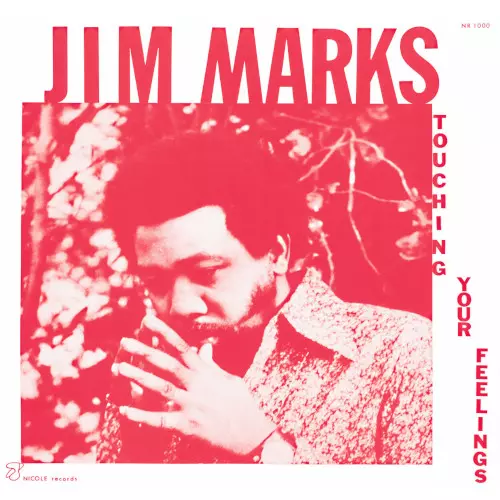 JIM MARKS / ジム・マークス / Touching Your Feelings(LP)