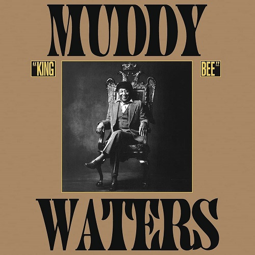 MUDDY WATERS / マディ・ウォーターズ / KING BEE (COLOR VINYL)
