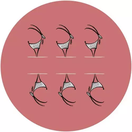 UNKNOWN / LA CHEVRE 006