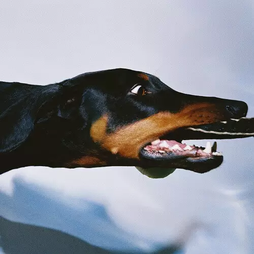 OVERMONO / オーヴァーモノ / DIAMOND CUT/BBY