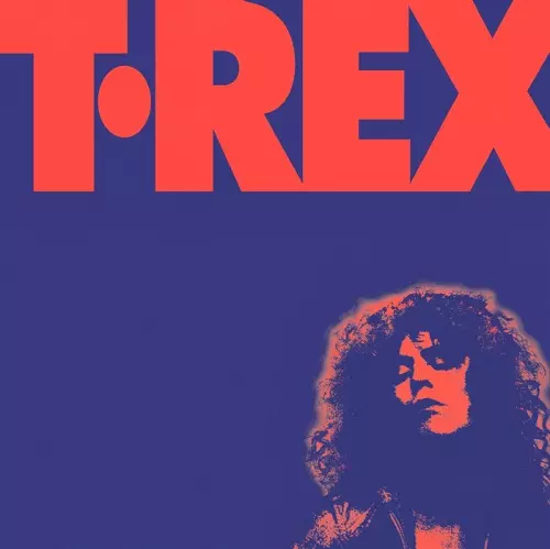 MARC BOLAN & T.REX / マーク・ボラン&T.レックス 商品一覧｜ディスクユニオン・オンラインショップ｜diskunion.net