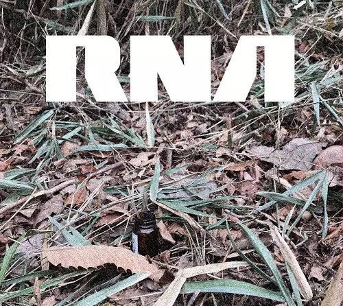 RNA / A TASTE OF...RNA