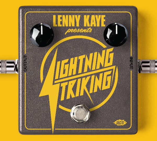 V.A.  / オムニバス / LENNY KAYE PRESENTS LIGHTNING STRIKING (2CD)