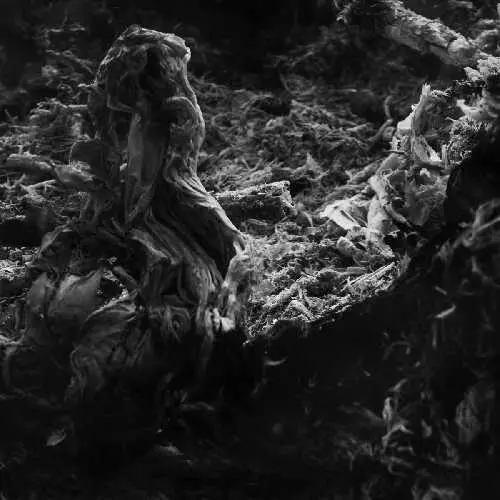 BLAZEJ MALINOWSKI / ボラジェ・マリノウスキ / UNPREDICTABILITY OF PROBABILITY (INCL. DASHA RUSH REMIX)