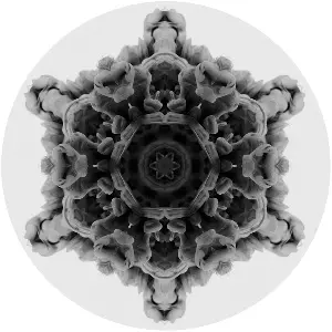 MOI / 12 (VINYL ONLY)
