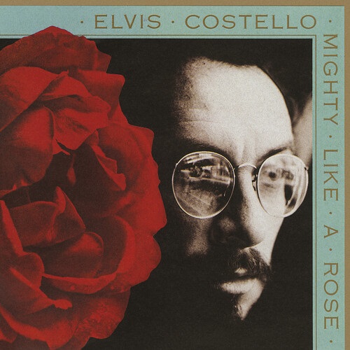 ELVIS COSTELLO / エルヴィス・コステロ / MIGHTY LIKE A ROSE