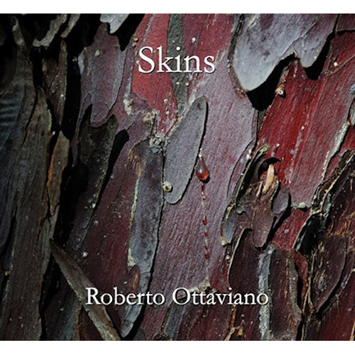 ROBERTO OTTAVIANO / ロベルト・オッタビアーノ / Skins