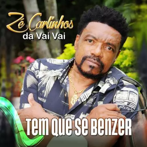 ZE CARLINHOS DA VAI VAI / ゼ・カルリーニョス・ダ・ヴァイ・ヴァイ / SAMBA, A LUZ DO MEU VIVER