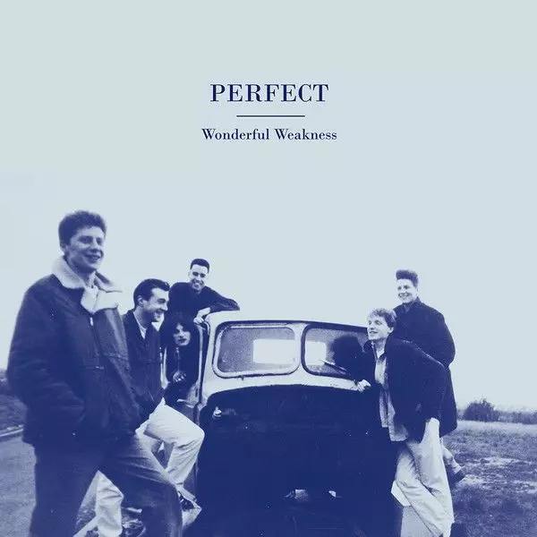 PERFECT (INDIE) / パーフェクト / WONDERFUL WEAKNESS (VINYL)