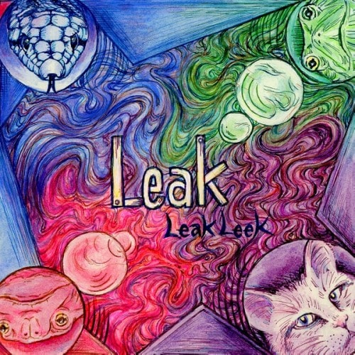 LeakLeek / LEAK