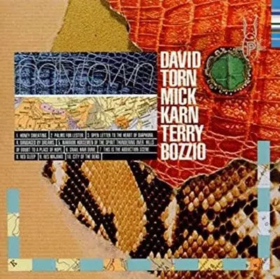 DAVID TORN/MICK KARN/TERRY BOZZIO / デヴィッド・トーン / ミック