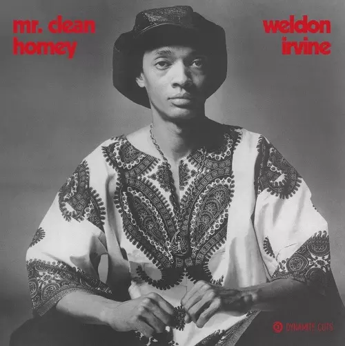 WELDON IRVINE / ウェルドン・アーヴィン / MR CLEAN / HOMEY (7")