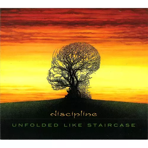 DISCIPLINE (PROG: US) / ディシプリン / UNFOLDED LIKE STAIRCASE 2020: TERRY BROWN MIX - REMASTER