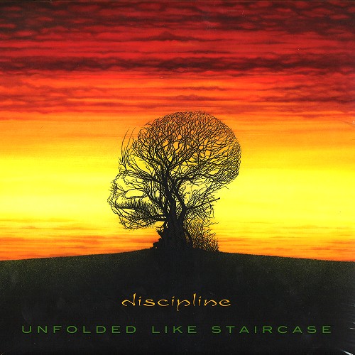 DISCIPLINE (PROG: US) / ディシプリン / UNFOLDED LIKE STAIRCASE: 2020 TERRY BROWN MIX LIMITED RED COLOURED VINYL - 180g LIMITED VINYL/REMASTER