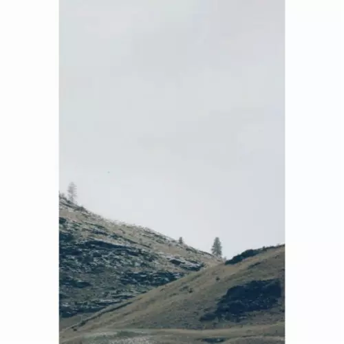 LINN MORI / Resurrection