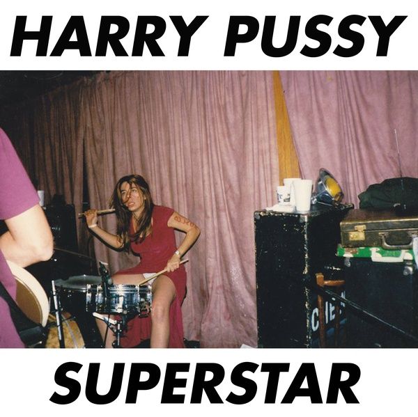 HARRY PUSSY / SUPERSTAR (VINYL)