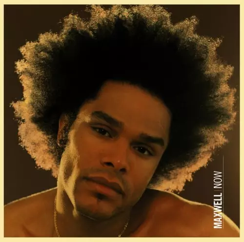 MAXWELL / マックスウェル商品一覧｜HIPHOP / 日本語RAP｜ディスク