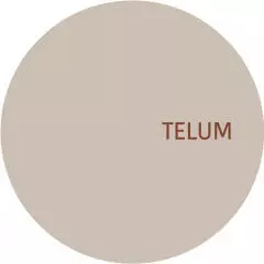 UNKNOWN (TELUM) / TELUM008