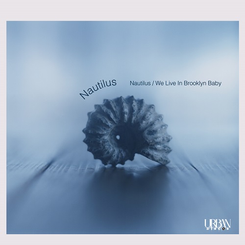 NAUTILUS / Nautilus / We Live In Brooklyn Baby (7")