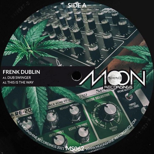 FRENK DUBLIN / DUB SWINGER EP