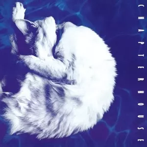 CHAPTERHOUSE / チャプターハウス / WHIRLPOOL (LP)